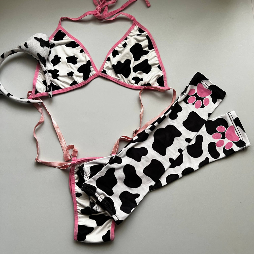 SET VAQUITA