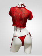 CONJUNTO BÉLGICA