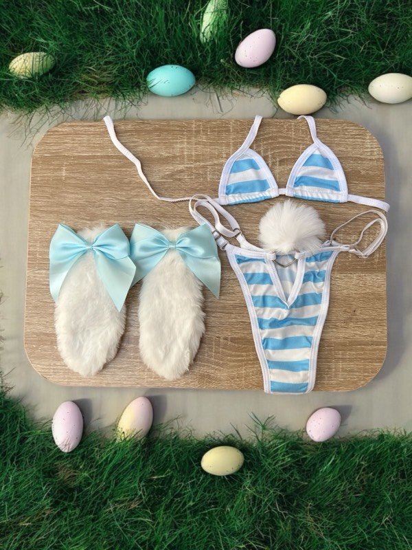 SET BUNNY+OREJITAS