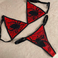 ARAÑA RED