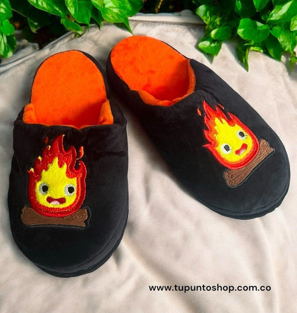 SLIPPER CALCIFER