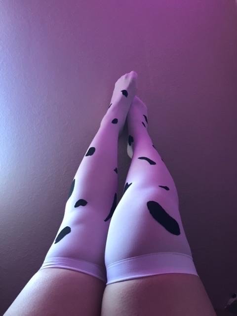 MEDIA BUCANERA VAQUITA